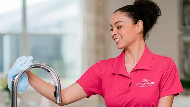 Cleaning professional wiping sink